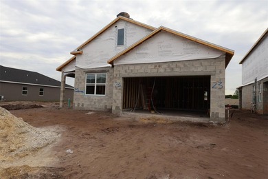 Buck Lake - Osceola County Home For Sale in Saint Cloud Florida