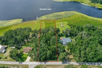 Lake Lot For Sale in Dunnellon, Florida