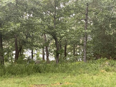 LAKEFRONT CABIN WITH 2 STALL PRIVATE DOCK & approx. 242 feet of - photo 11