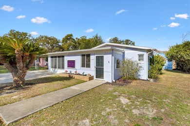 Lake Griffin Home For Sale in Lady Lake Florida