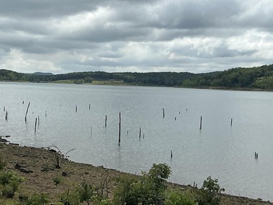 LAKEFRONT CABIN WITH 2 STALL PRIVATE DOCK & approx. 242 feet of - photo 12