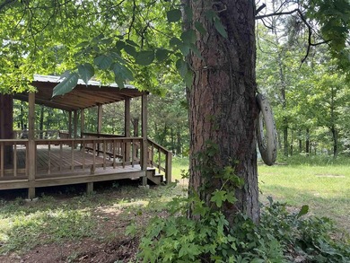 LAKEFRONT CABIN WITH 2 STALL PRIVATE DOCK & approx. 242 feet of - photo 14