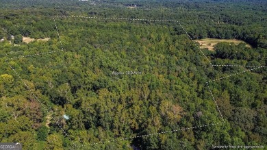 Lake Acreage For Sale in Danielsville, Georgia
