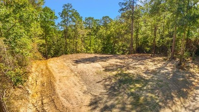 Angelina River Lot For Sale in Jasper Texas