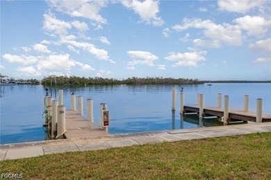 Best priced condo with boat dock and storage in Fort Myers - photo 27