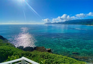 Live your Hawaii dream in this gated oceanfront compound - photo 10