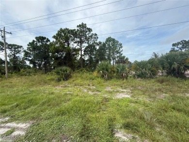 Lehigh Acres Area Lot For Sale in Lehigh Acres Florida