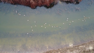 (private lake, pond, creek) Acreage For Sale in Wynne Arkansas