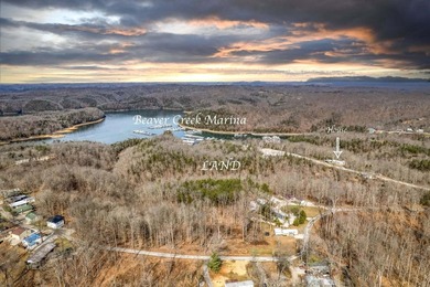 Premier Investment Opportunity - 133+/- Unrestricted Acres - photo 1