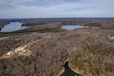 Premier Investment Opportunity - 133+/- Unrestricted Acres - photo 4