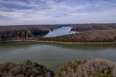 Premier Investment Opportunity - 133+/- Unrestricted Acres - photo 5