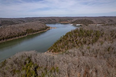 Premier Investment Opportunity - 133+/- Unrestricted Acres - photo 6