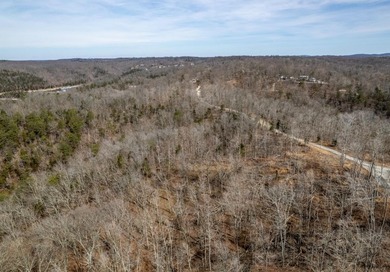 Premier Investment Opportunity - 133+/- Unrestricted Acres - photo 7