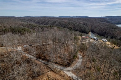 Premier Investment Opportunity - 133+/- Unrestricted Acres - photo 8