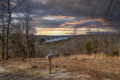 Premier Investment Opportunity - 133+/- Unrestricted Acres - photo 9