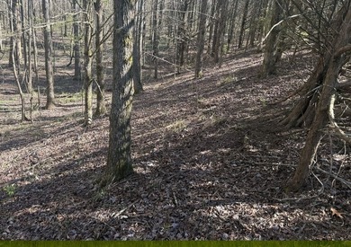 Located in Pontotoc County, Ms this 70 +/- acre property is one - photo 13