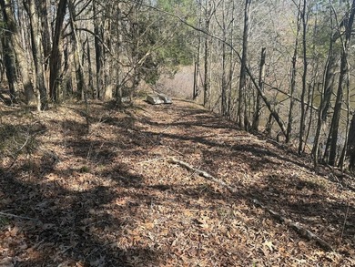Located in Pontotoc County, Ms this 70 +/- acre property is one - photo 14