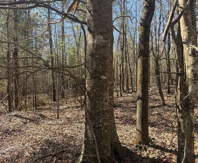 Located in Pontotoc County, Ms this 70 +/- acre property is one - photo 15