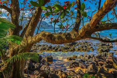 Hale Ikena Kai (*home of mystical ocean*) is a beautifully - photo 22