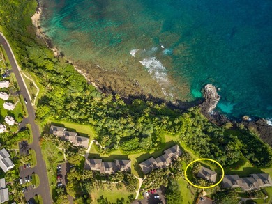 Hale Ikena Kai (*home of mystical ocean*) is a beautifully - photo 26