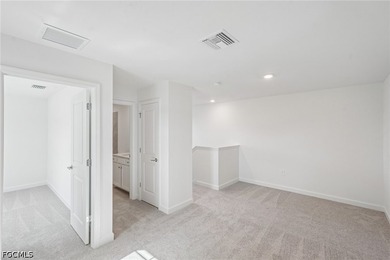 Brand new construction, move-in ready now in TurnLeaf. This - photo 28