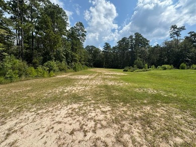 Lake Sam Rayburn  Commercial For Sale in Brookeland Texas