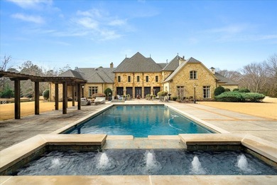 Once-in-a-generation Germantown estate behind a private gated - photo 34