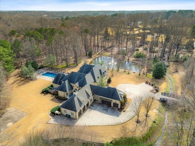 Once-in-a-generation Germantown estate behind a private gated - photo 40