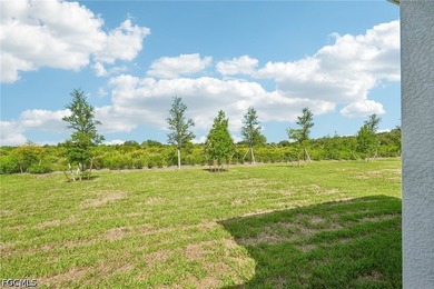 Brand new construction, move-in ready now in TurnLeaf. This - photo 43