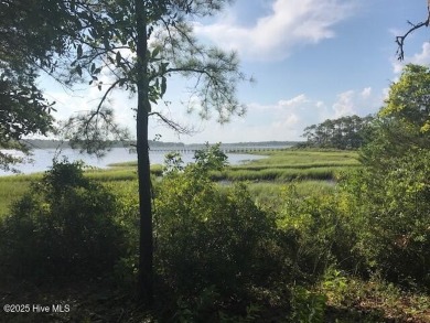Lake Lot For Sale in Bolivia, North Carolina