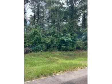 Lake Blackshear Lot For Sale in Cobb Georgia
