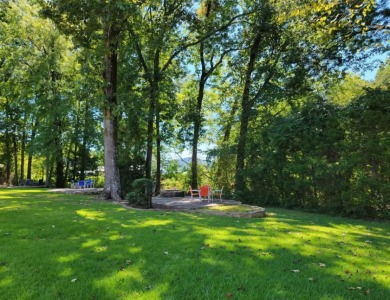 Guntersville Lake Home with Boathouse - photo 3