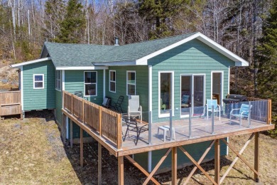 Lake Home For Sale in Doucetteville,