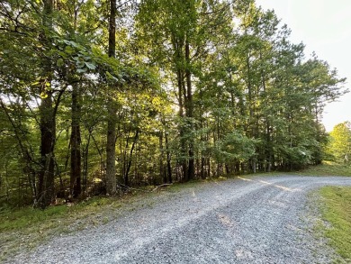 Lake Lot For Sale in Ellijay, Georgia