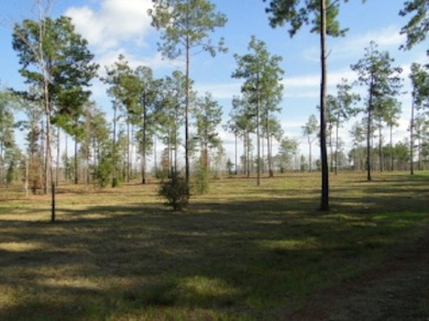 The perfect homesite is waiting for you with these two lots in - Lake Acreage Sale Pending in Hemphill, Texas