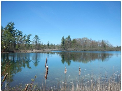 Morgan Mills Chain of Lakes  Lot For Sale in Greenville Michigan