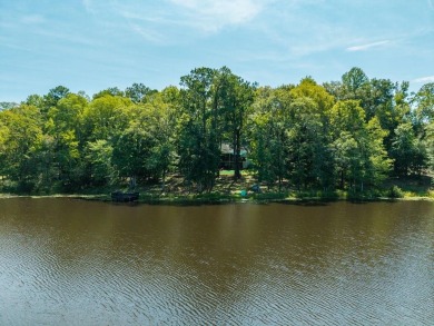 Lake Home For Sale in Box Springs, Georgia