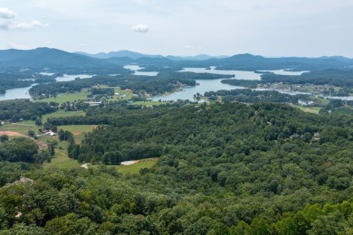 Lake Lot For Sale in Hayesville, North Carolina