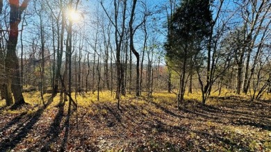 The Crown Jewel of Rough River! Call Josh! - photo 6