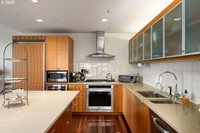 Quiet, clean South Waterfront! Breathtaking city, river and