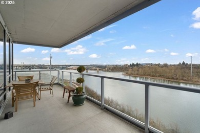 Quiet, clean South Waterfront! Breathtaking city, river and