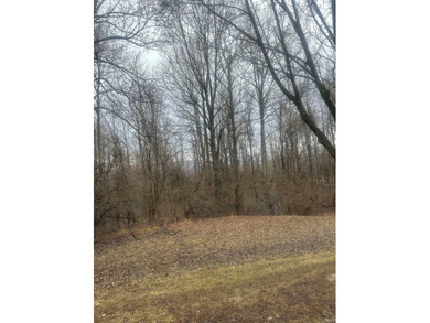 Imagine owning a stunning 5 acres +/- corner lot in the - photo 3