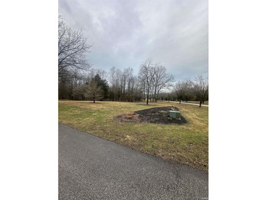Imagine owning a stunning 5 acres +/- corner lot in the - photo 5