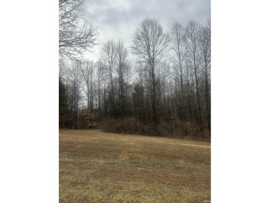 Imagine owning a stunning 5 acres +/- corner lot in the - photo 7