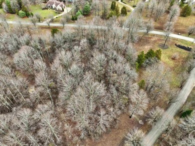 Imagine owning a stunning 5 acres +/- corner lot in the - photo 9