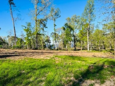 Toledo Bend Lake Lot For Sale in Milam Texas