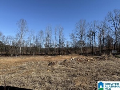 Lake Lot For Sale in Hoover, Alabama