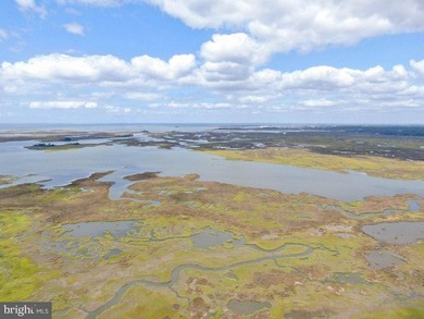 (private lake, pond, coastal) Home For Sale in Crisfield Maryland