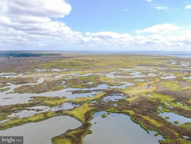 Presenting, Lawson Marsh, Crisfield, Maryland - 1119.42+- acres - photo 3