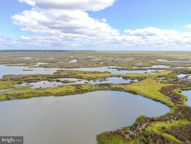 Presenting, Lawson Marsh, Crisfield, Maryland - 1119.42+- acres - photo 4